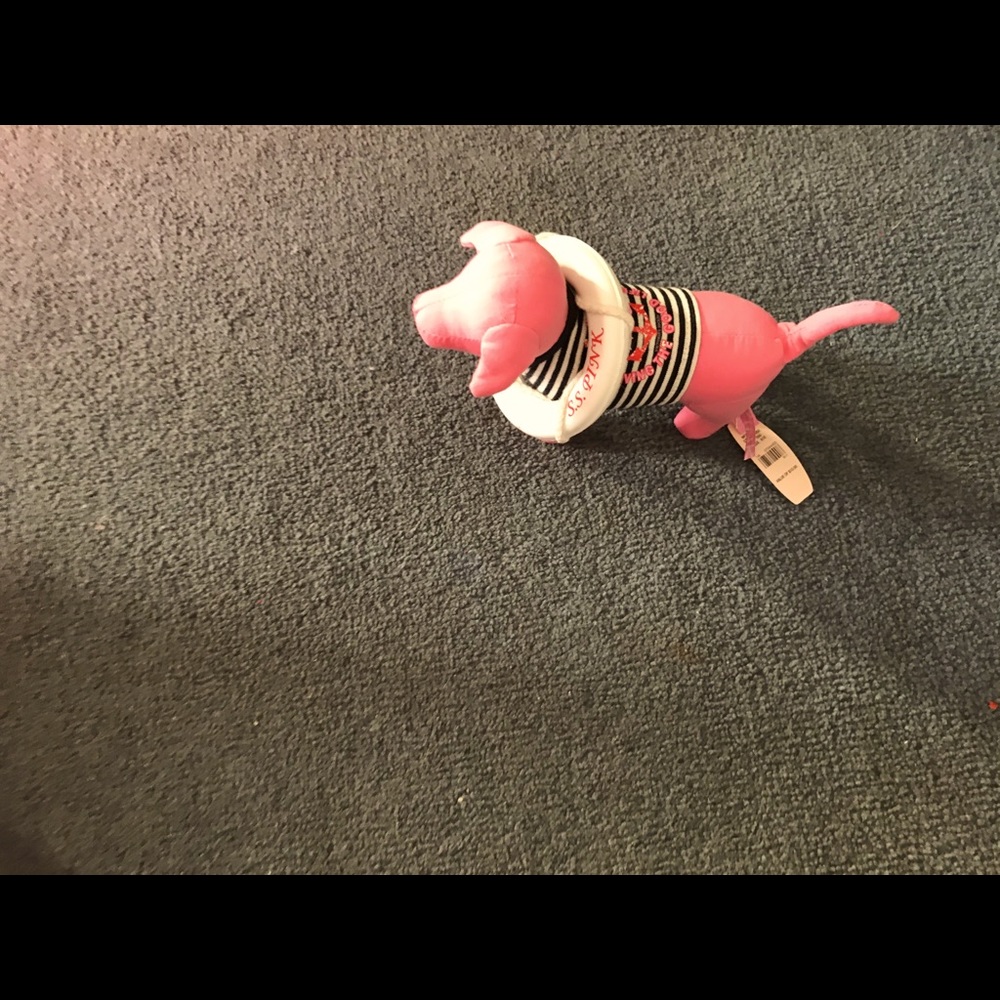 Pink mini dog